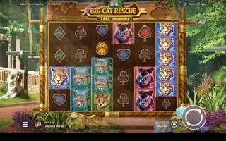 Big Cat Rescue Megaways – Base game