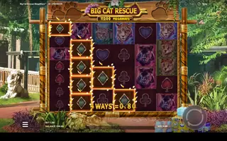 Big Cat Rescue Megaways – Winning spin