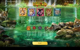 Big Cat Rescue Megaways – Paytable