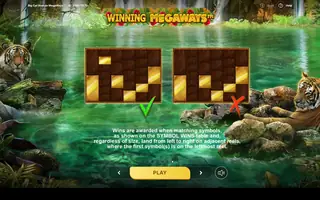 Big Cat Rescue Megaways – Game rules