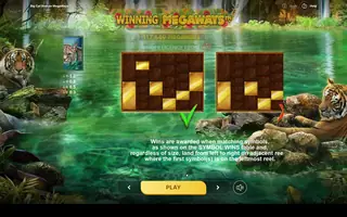 Big Cat Rescue Megaways – Game rules