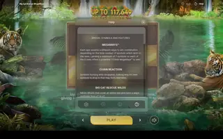 Big Cat Rescue Megaways – Game rules