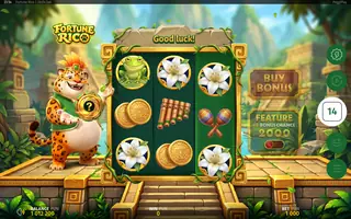 Fortune Rico – Base game