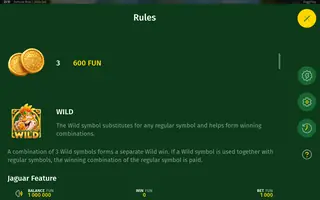 Fortune Rico – Game rules