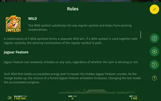 Fortune Rico – Game rules