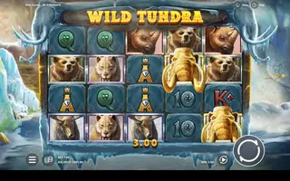 Wild Tundra – Winning spin