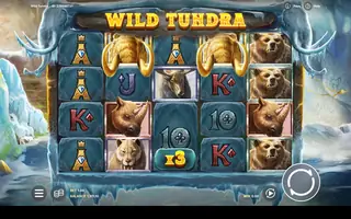 Wild Tundra – Free spins