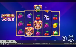 Expanding Joker – Feature in play