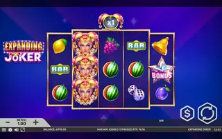 Expanding Joker – Feature in play