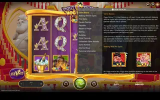 Piggy Riches 3: Hog Heaven – Game rules