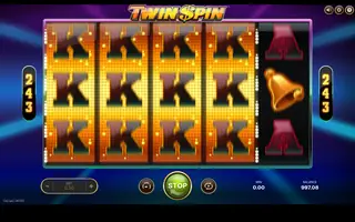 Twin Spin – Feature in play