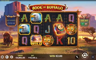 Book of Buffalo – Winning spin