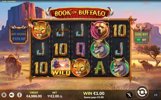 Book of Buffalo – Winning spin