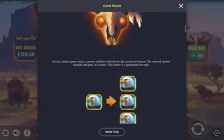 Book of Buffalo – Game rules