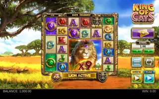 King of Cats – Feature in play