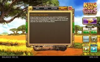 King of Cats – Game rules