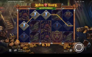 Robin Hood’s Wild Forest – Winning spin