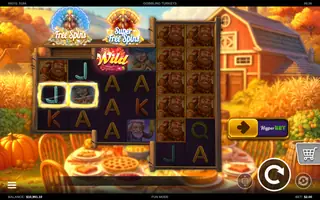 Gobbling Turkeys – Feature in play
