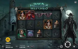 Wild Witches – Base game