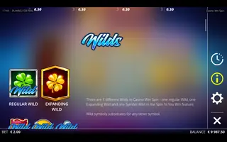 Casino Win Spin – Game rules