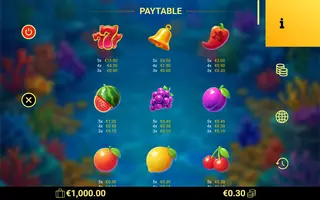 Black Flag Fortune – Paytable
