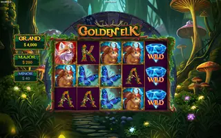 Golden Elk – Base game