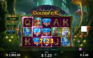 Golden Elk – Winning spin