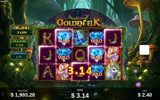 Golden Elk – Feature in play