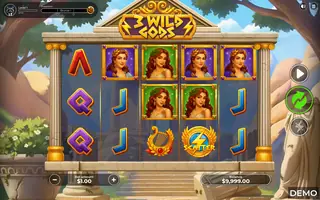 3 WIld Gods – Base game