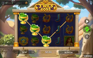3 WIld Gods – Winning spin