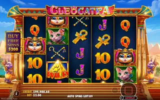 Cleocatra – Feature in play