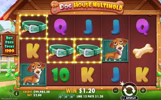 The Dog House Multihold – Winning spin