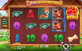 The Dog House Multihold – Winning spin