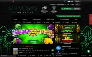 Mr Vegas – Home page