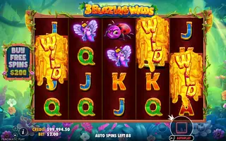 3 Buzzing Wilds – Feature in play