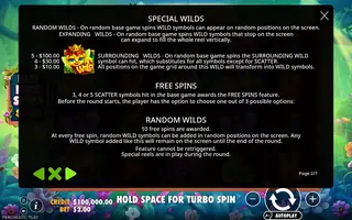 3 Buzzing Wilds – Game rules