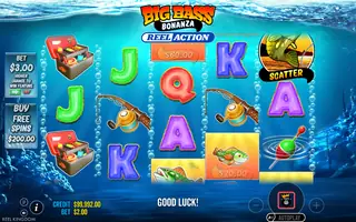 Big Bass Bonanza: Reel Action – Feature in play