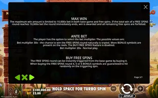 Buffalo King Untamed Megaways – Game rules