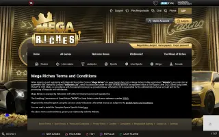 Mega Riches – Terms and conditions