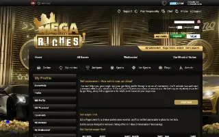 Mega Riches – Safer gambling tools (logged in)