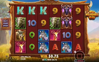 Wild Wildebeest Wins – Winning spin