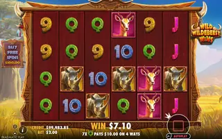 Wild Wildebeest Wins – Winning spin