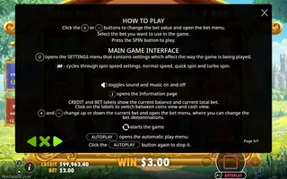 The Dog House Royal Hunt – Game rules